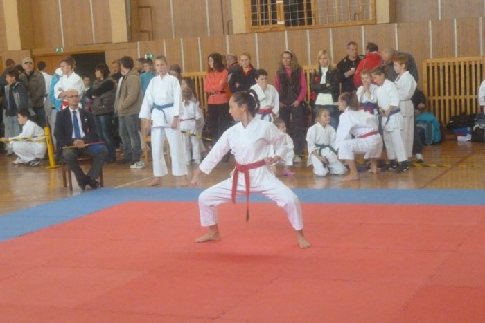 Ilustračný obrázok k článku Majstrovstvá v karate: Medaile získali aj domáci!