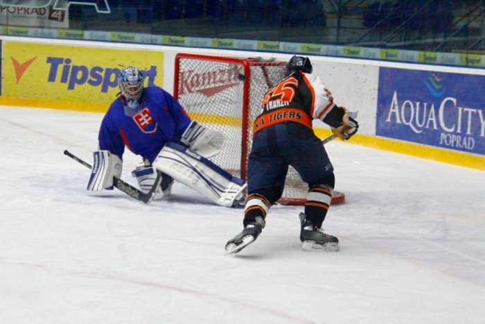 Ilustračný obrázok k článku Dohrala sa prvá séria PHL. Blue Tigers na prvom mieste