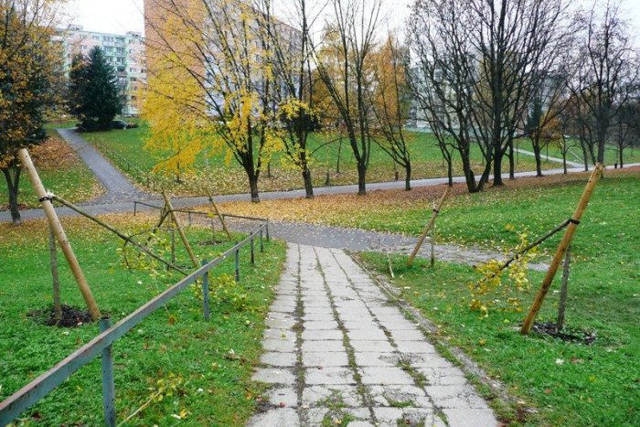 Ilustračný obrázok k článku Neznámi vandali polámali novo vysadené stromy na sídlisku