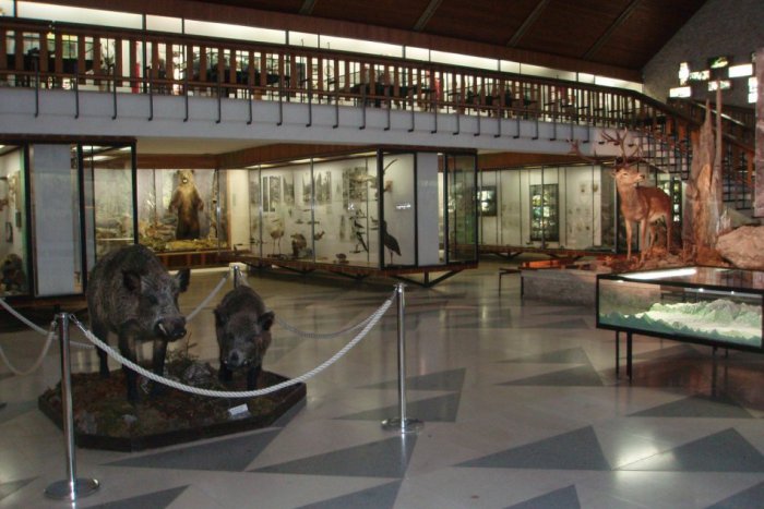 Ilustračný obrázok k článku Sviatky jari spojené s návštevou múzea? Pozor, aby vás neprekvapili zmenené otváracie hodiny