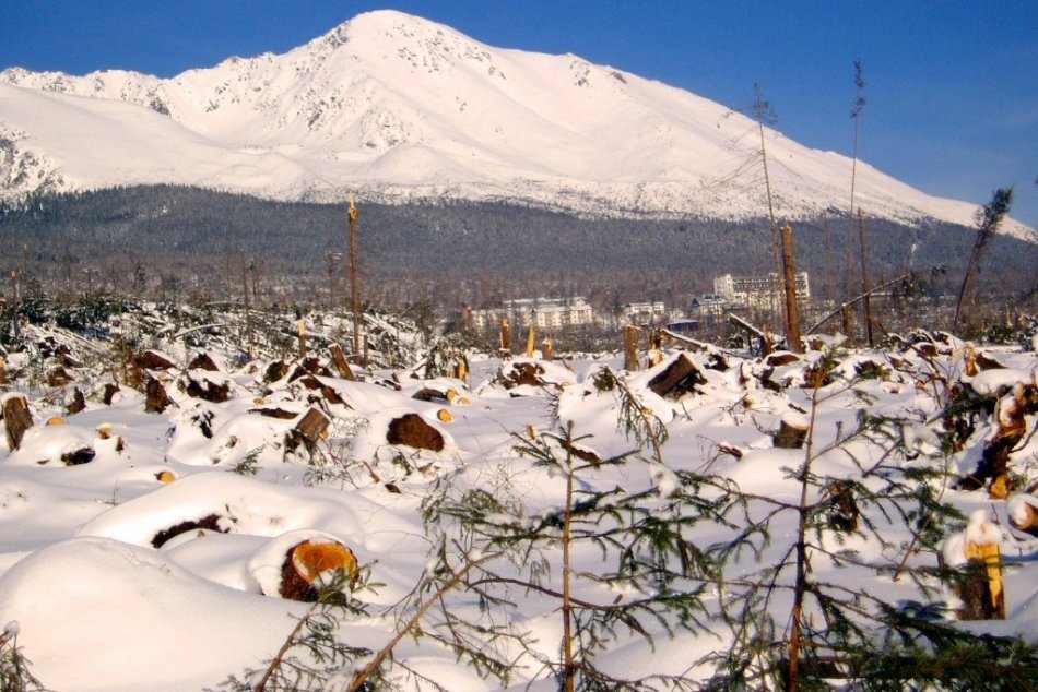 Ilustračný obrázok k článku Pre mnohých stále čerstvá spomienka: Od veternej kalamity uplynie 16 rokov