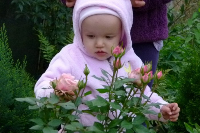 Ilustračný obrázok k článku Zaujímavé údaje z nášho kraja: Revúca vedie s najvyššou pôrodnosťou