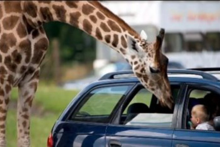 Ilustračný obrázok k článku Stopovanie mi prinieslo len pozitívne stretnutia, hovorí študentka Martina