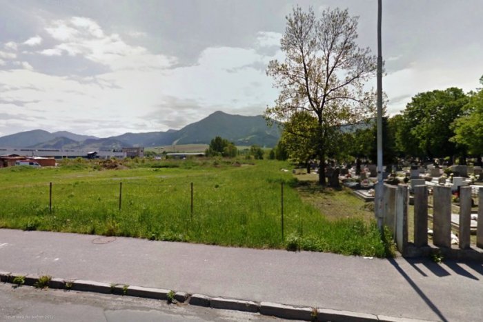 Ilustračný obrázok k článku Pozostalým dochádza trpezlivosť: Túlavé psy špinia na hroby!