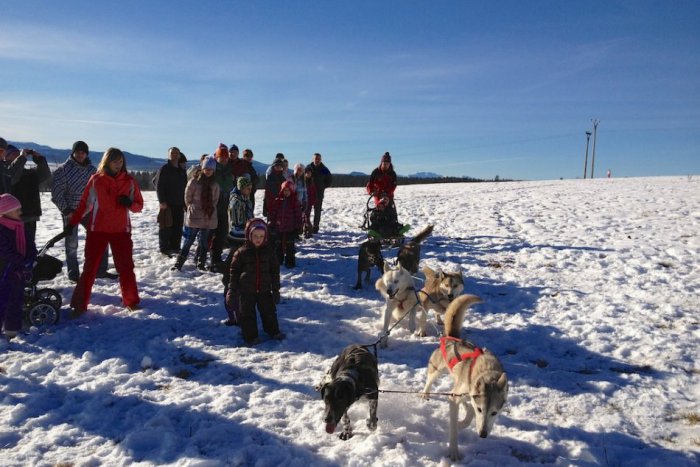 Ilustračný obrázok k článku PREHĽAD AKCIÍ: Tento víkend si vychutnajte ako pravý gurmán