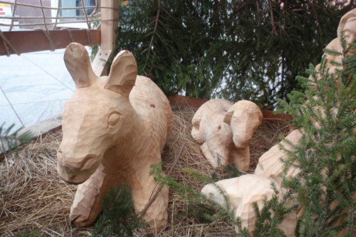 Ilustračný obrázok k článku Mladá žena skončila na Silvestra v belteheme pri zvieratkách