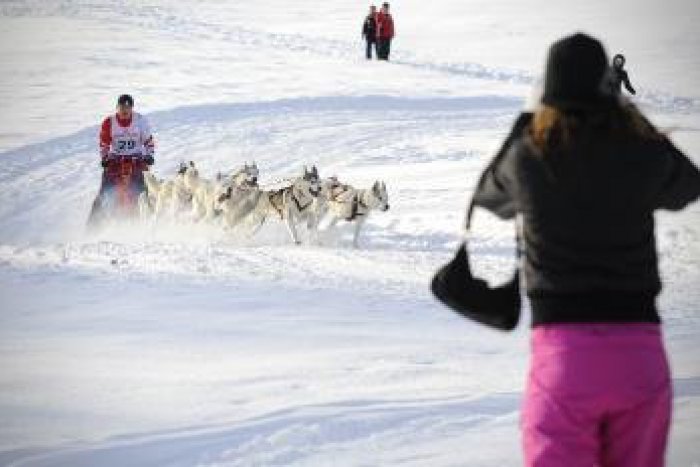 Ilustračný obrázok k článku Účastníci pretekov psích záprahov? V noci budú bivakovať nad bystrickým sídliskom!