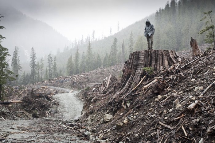 Ilustračný obrázok k článku Festival Jeden svet aj tento rok na Stanici
