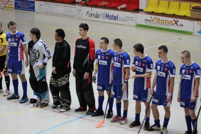 Ilustračný obrázok k článku Kobylky vo finále: V prvých zápasoch dostali príučku