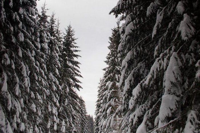 Ilustračný obrázok k článku Okúzľujúca Muránska planina: Jej čaro si za 1 deň vychutnalo až 700 turistov