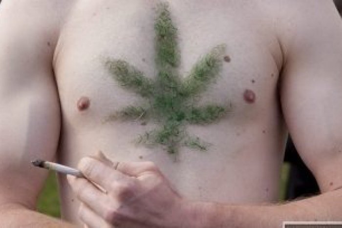 Ilustračný obrázok k článku Podgurážený Adam (20) sa pochválil: Mám marihuanovú cigaretu