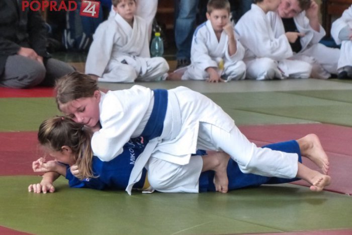 Ilustračný obrázok k článku V Poprade sa bojovalo. O titul majstra v džude sa pobili všetky vekové kategórie