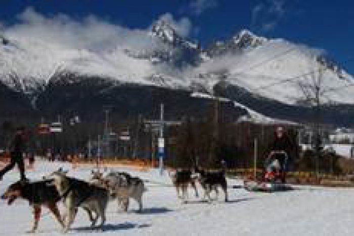 Ilustračný obrázok k článku Zábava pre rodiny s deťmi: Snežné psy pod Lomnickým štítom