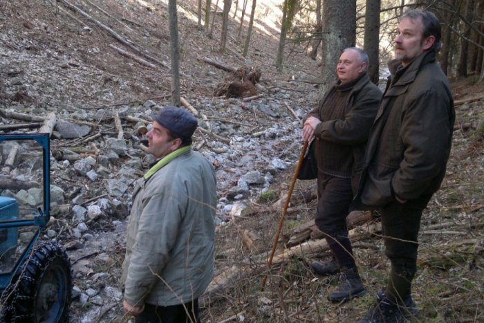 Ilustračný obrázok k článku Riaditeľ Michal Slašťan: Dvadsaťročný príbeh Mestských lesov bol vcelku úspešný