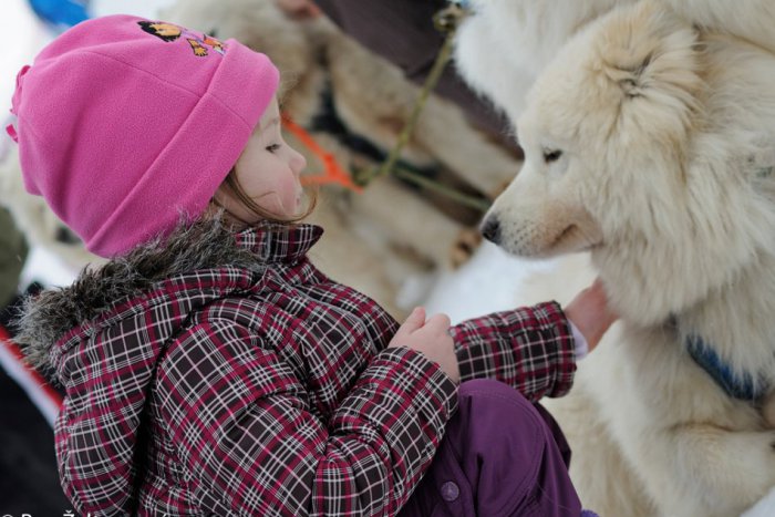 Ilustračný obrázok k článku Do Tatranskej Lomnice prišlo cez víkend množstvo ľudí. Deti najviac zaujali živé psy