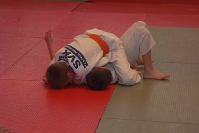 Ilustračný obrázok k článku Džudisti počas februára: Jeden úspech za druhým