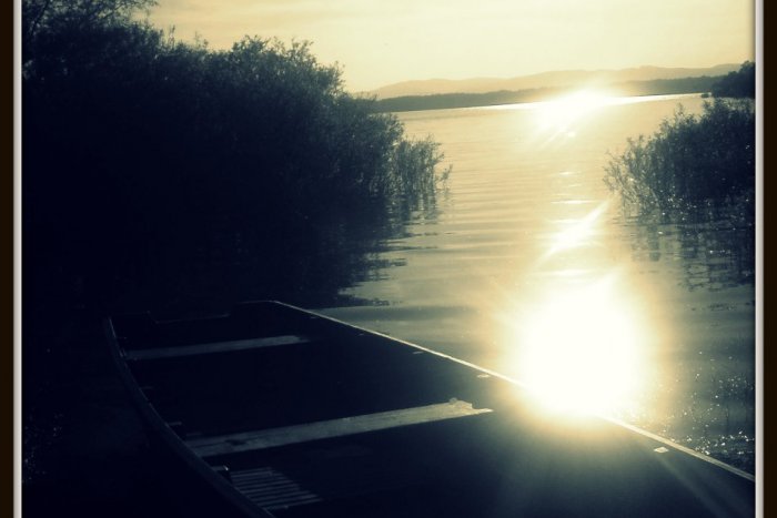 Ilustračný obrázok k článku Netradičná výstava v meste: Spoznajte kráľovnú našich vôd!