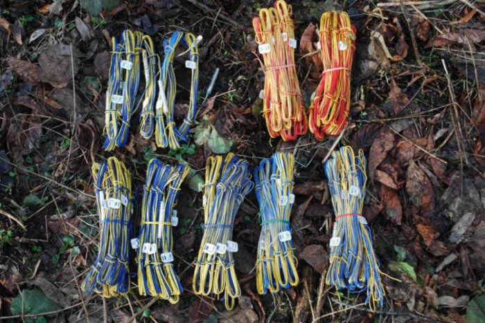 Ilustračný obrázok k článku Šokujúci nález pred družstvom: V igelitke ležalo 93 rozbušiek!