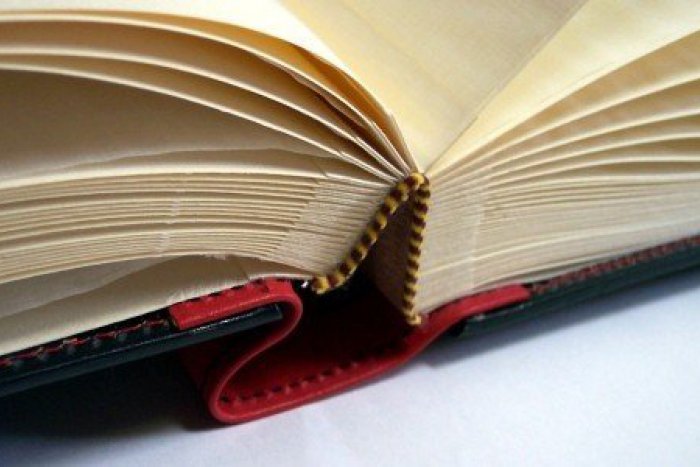 Ilustračný obrázok k článku Knižničná hliadka v akcii: Stačí len čítať  a máte vyhrané