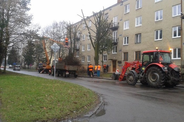 Ilustračný obrázok k článku V meste končia plánované orezy a výrub drevín. Od začiatku roka zmizlo 120 suchých stromov