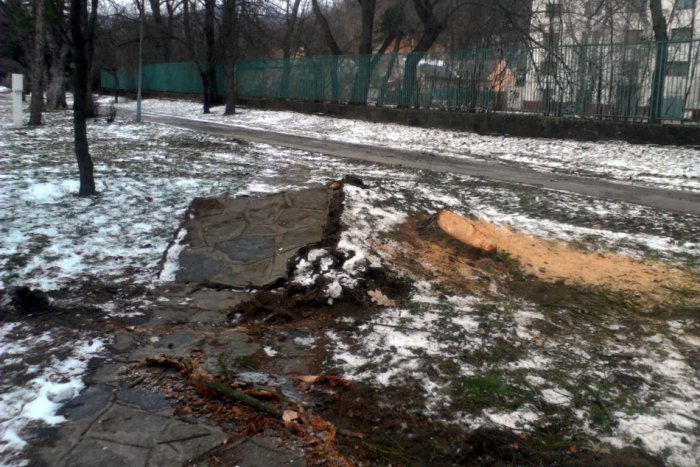 Ilustračný obrázok k článku Prudký vietor spôsobuje problémy: Vyvrátil stromy a zrušil futbal