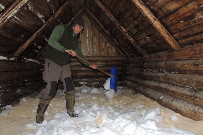 Ilustračný obrázok k článku V Tatrách napĺňajú snehové jamy. Sadeniciam tak predlžujú vegetačný pokoj