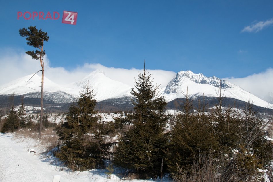 Ilustračný obrázok k článku Vianoce dali do pozoru tatranských lesníkov: Chcú zabrániť nelegálnemu výrubu stromčekov!