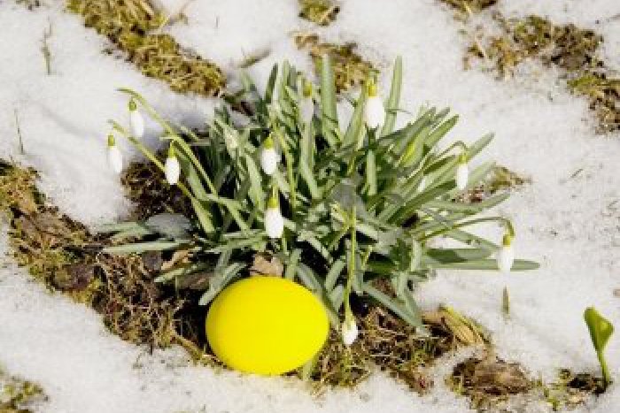 Ilustračný obrázok k článku Studená Veľká noc: Počasie sa neumúdri ani počas sviatkov