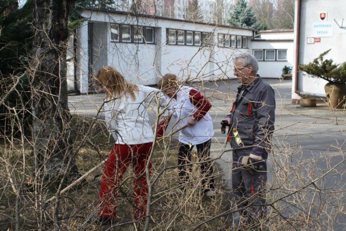 Ilustračný obrázok k článku Jarné upratovanie: Kedy a kde budú kontajnery