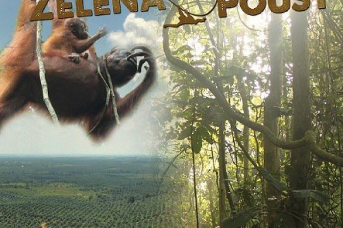 Ilustračný obrázok k článku Ekonómom nie je ľahostajná budúcnosť našej planéty!