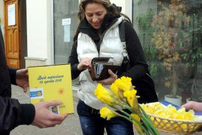 Ilustračný obrázok k článku Deň narcisov 2014: Hádajte, koľko peňazí sa vyzbieralo v Lučenci