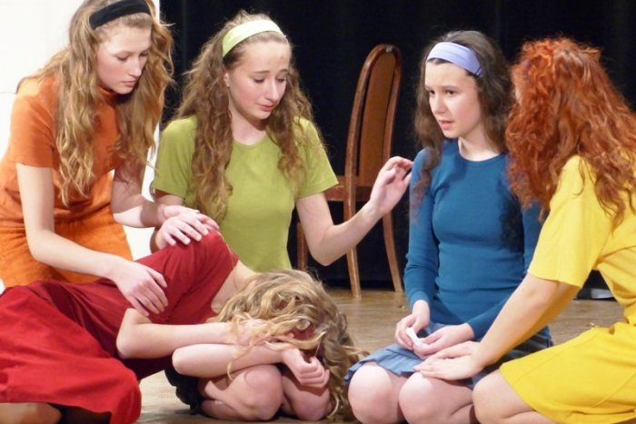 Ilustračný obrázok k článku Tri dni v divadle: Divadelná Šuňava tento rok s rekordnou účasťou