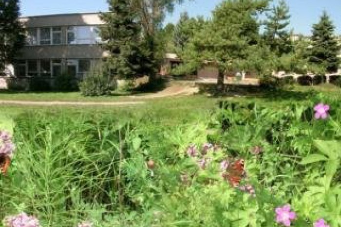 Ilustračný obrázok k článku Radnica otvorene: Žiadnu základnú školu rušiť nechceme