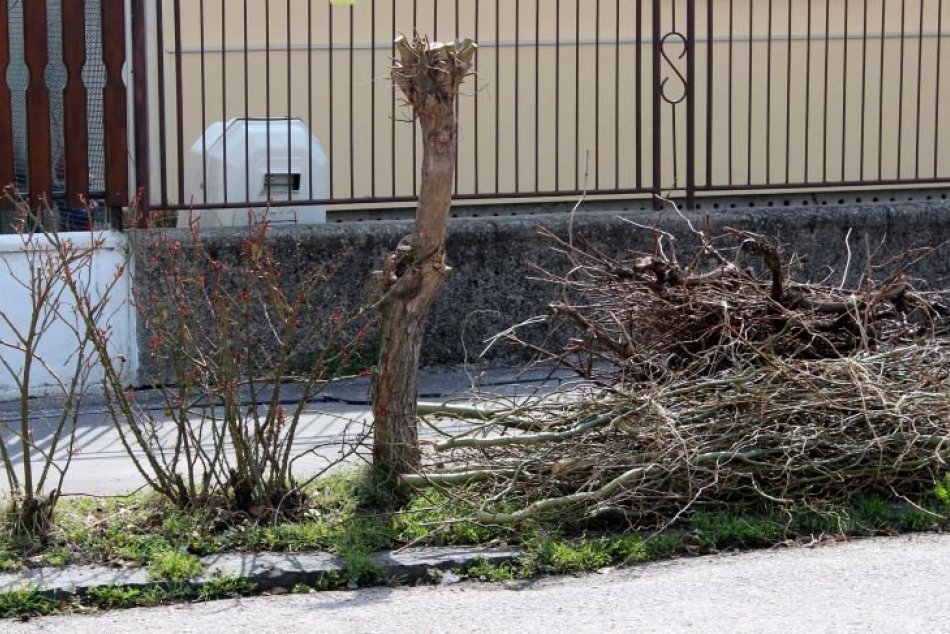 Ilustračný obrázok k článku Pripravte záhradu na príchod jari: Vývoz orezov sa bude konať v TÝCHTO termínoch