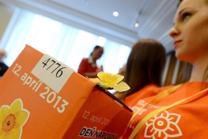 Ilustračný obrázok k článku Udalosť dňa: Slovensko dnes zaplavia žlté kvietky nádeje