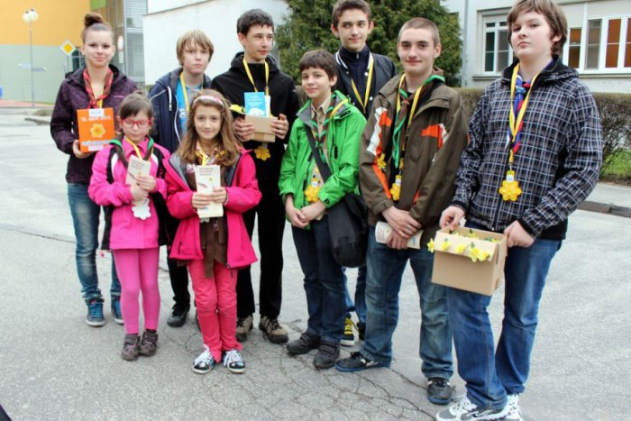 Ilustračný obrázok k článku Nitrianski skauti pomáhali: Zapojili sa do Dňa narcisov