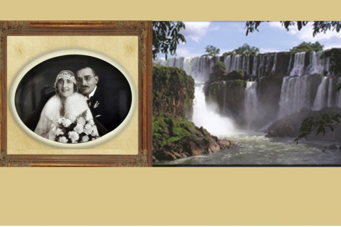 Ilustračný obrázok k článku Netredičná výstava: Svadobné trendy a o ľadovci čo rastie