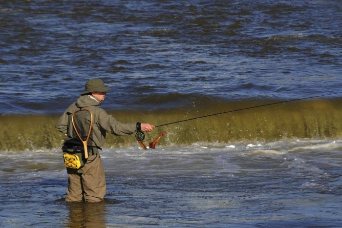 Ilustračný obrázok k článku Pod Tatrami sa začala pstruhová sezóna. Ryby sú ale po dlhej zime oslabené