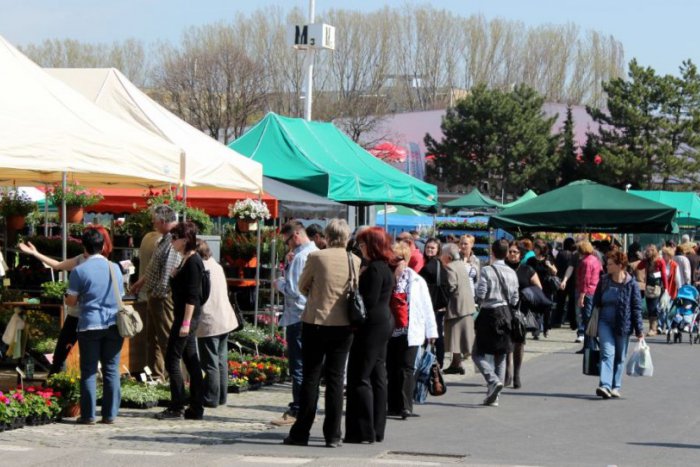 Ilustračný obrázok k článku Poľnohospodárska výstava sa blíži: Na Agrokomplexe bude 450 vystavovateľov