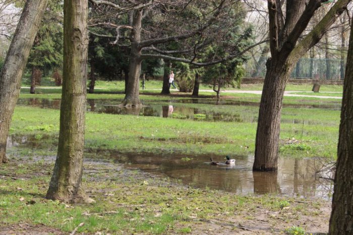 Ilustračný obrázok k článku Nitra sa chce pripraviť na zmenu klímy: Dala vypracovať dokument za skoro 24-tisíc eur