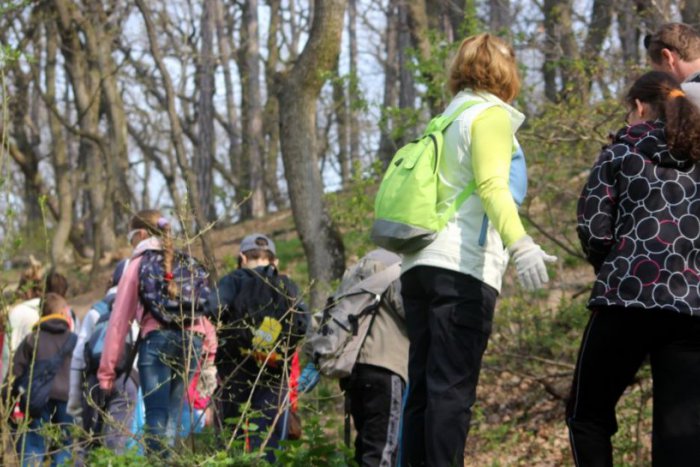 Ilustračný obrázok k článku Les nie je smetisko: Dobrovoľníci budú čistiť okolie Liečebného ústavu