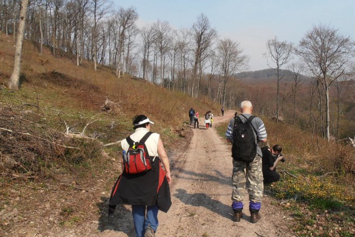 Ilustračný obrázok k článku Radosť pre turistov: Nové náučné chodníky na Veľký Tríbeč či Oponický hrad!