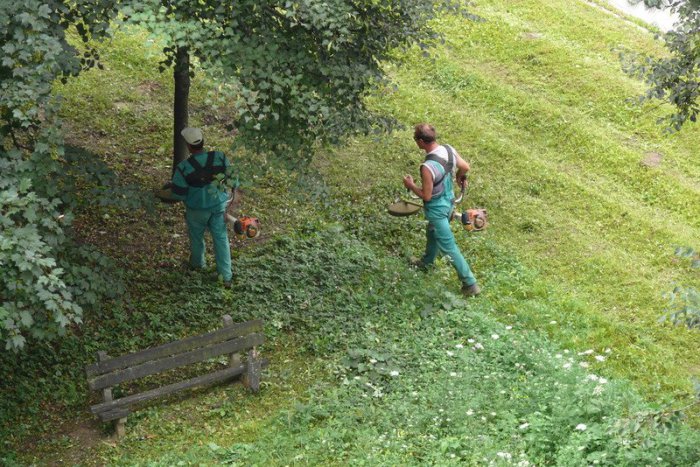 Ilustračný obrázok k článku Po TÝCHTO termínoch sa skončí nadvláda vysokých stebiel trávy: V Prešove sa začína tretia etapa kosby