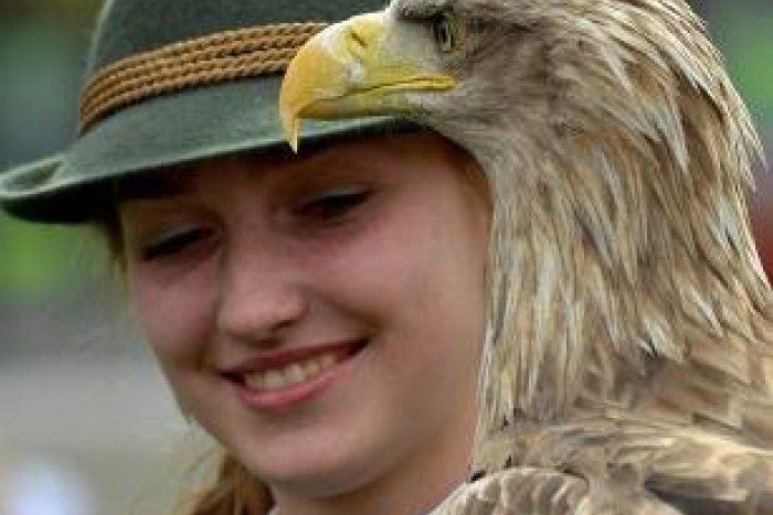 Ilustračný obrázok k článku Lesnícke dni v kežmarskom lesoparku: Vábenie zveri aj tvorivé dielne