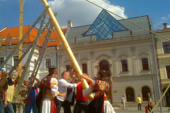 Ilustračný obrázok k článku Kaník si máj nenechal vziať: Keď mu odstránili jeden, postavil ďalší