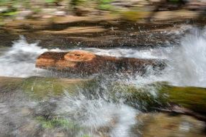 Ilustračný obrázok k článku V Dolnom Harmanci otvárajú plavebnú sezónu: Na unikátnom vodnom žľabe!