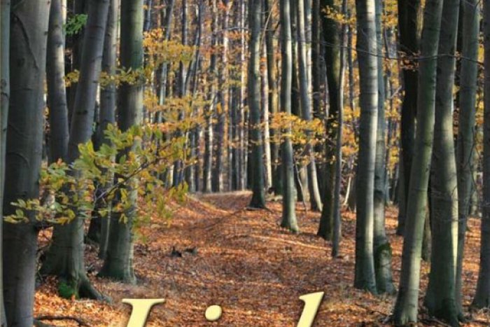 Ilustračný obrázok k článku Tip na knihu: Liek na smútok? Vasilková ho pozná