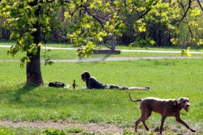 Ilustračný obrázok k článku Fitness ihrisko, divácka tribúna aj petangové dráhy: Mestský park má mať nový šat!