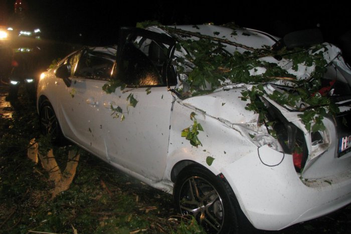 Ilustračný obrázok k článku Dopravná nehoda za Rimavskou Sobotou: Môže za ňu padajúci strom