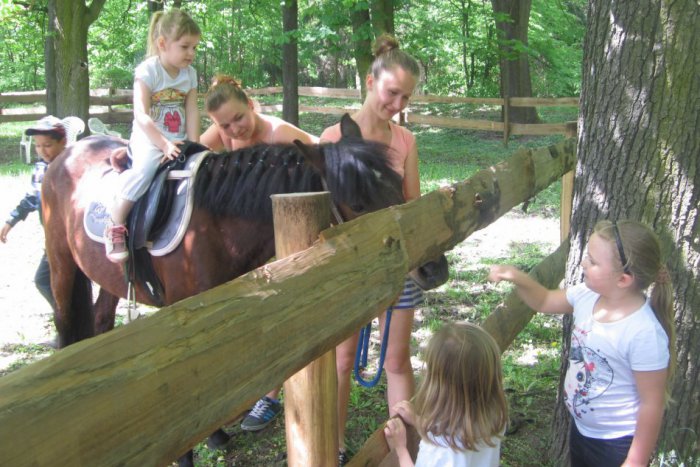 Ilustračný obrázok k článku Túži vaše dieťatko po koníkovi? Mestský park mu splní tento sen